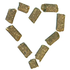 AGROBS Wiesenbussi