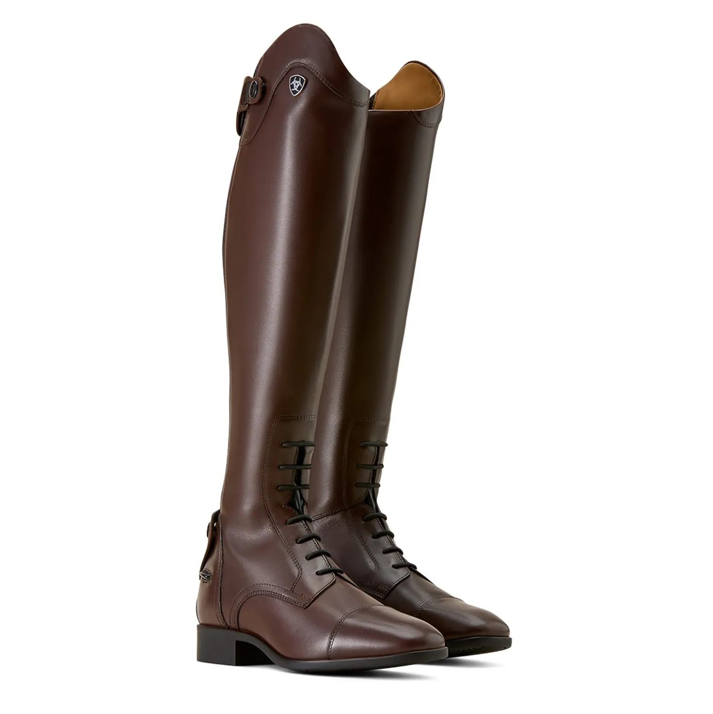 ARIAT Reitstiefel Palisade Field