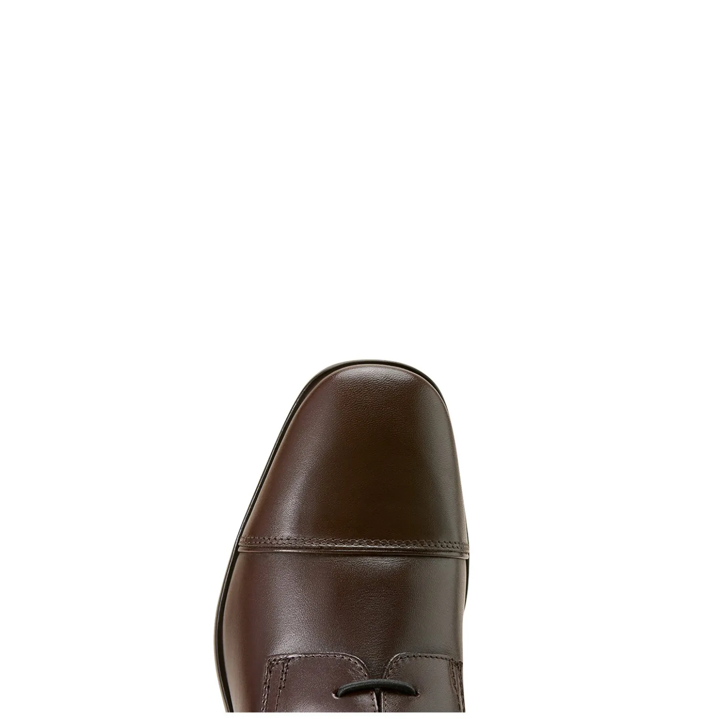 ARIAT Reitstiefel Palisade Field