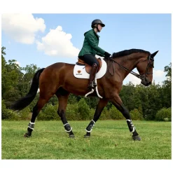 ARIAT Reitstiefel Palisade Field