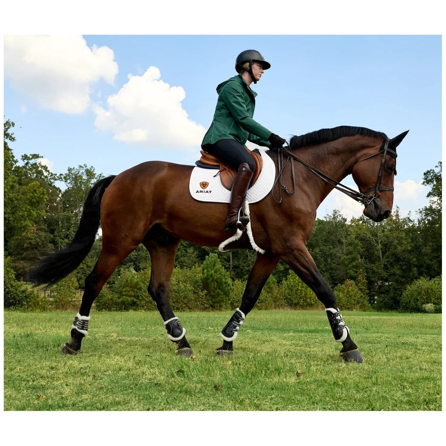 ARIAT Reitstiefel Palisade Field