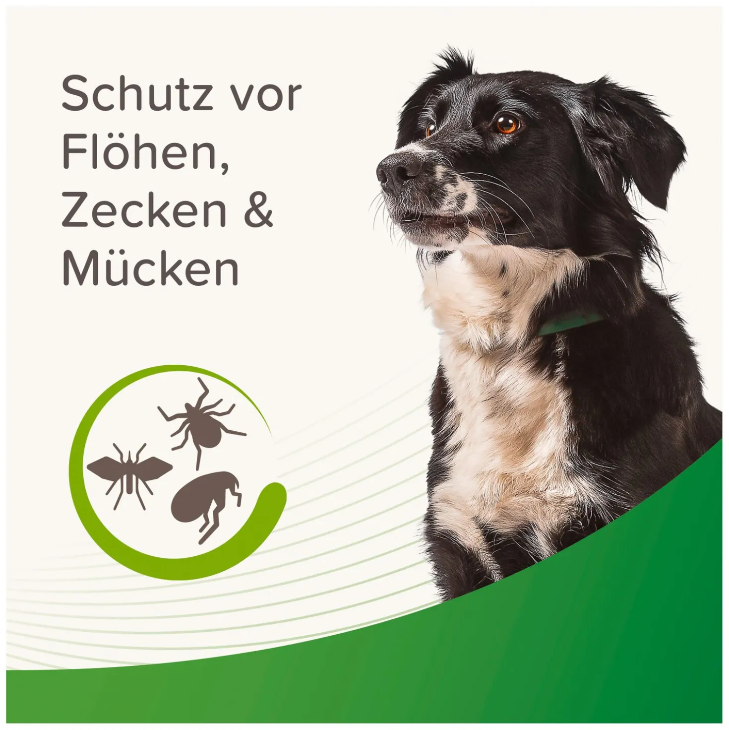 beaphar Floh- und Zeckenhalsband