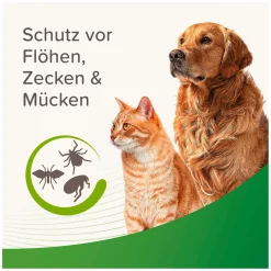 beaphar Zecken- und Flohschutz Spray