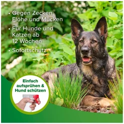 beaphar Zecken- und Flohschutz Spray
