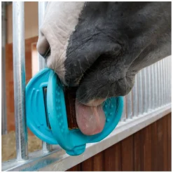 Bizzy HORSE Ball, für Pferde