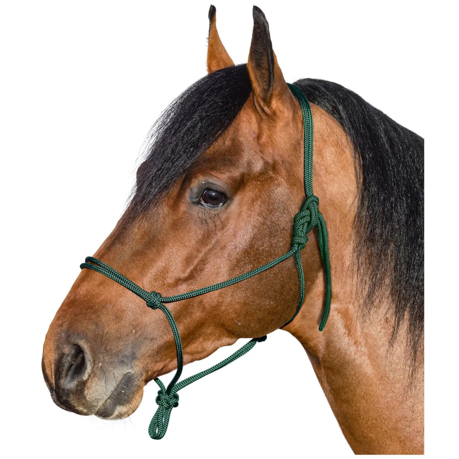 BROCKAMP Knotenhalfter Horse-Man-Halfter