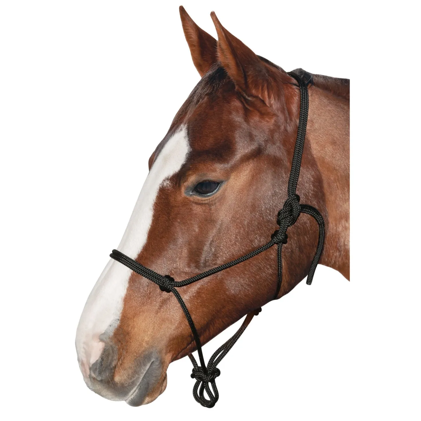 BROCKAMP Knotenhalfter Horse-Man-Halfter