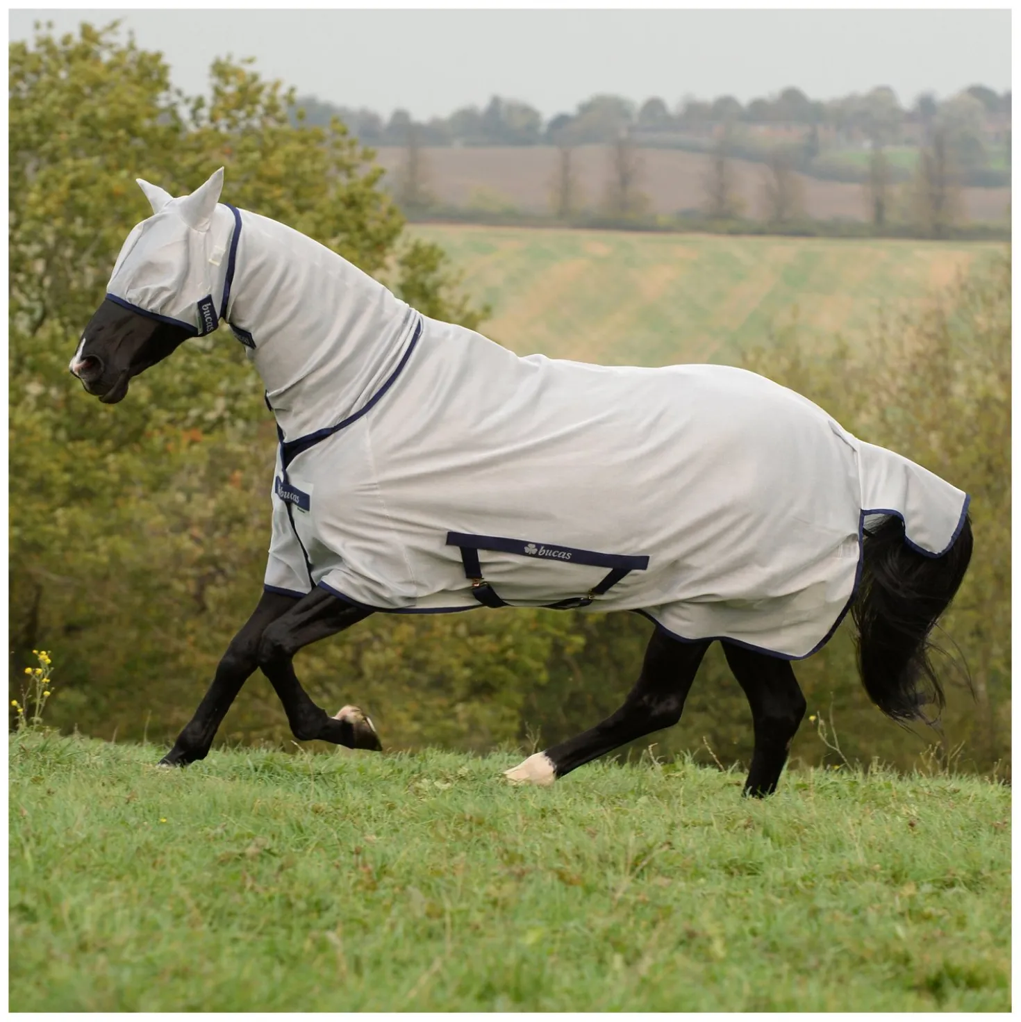 bucas Fliegendecke Freedom Fly Sheet