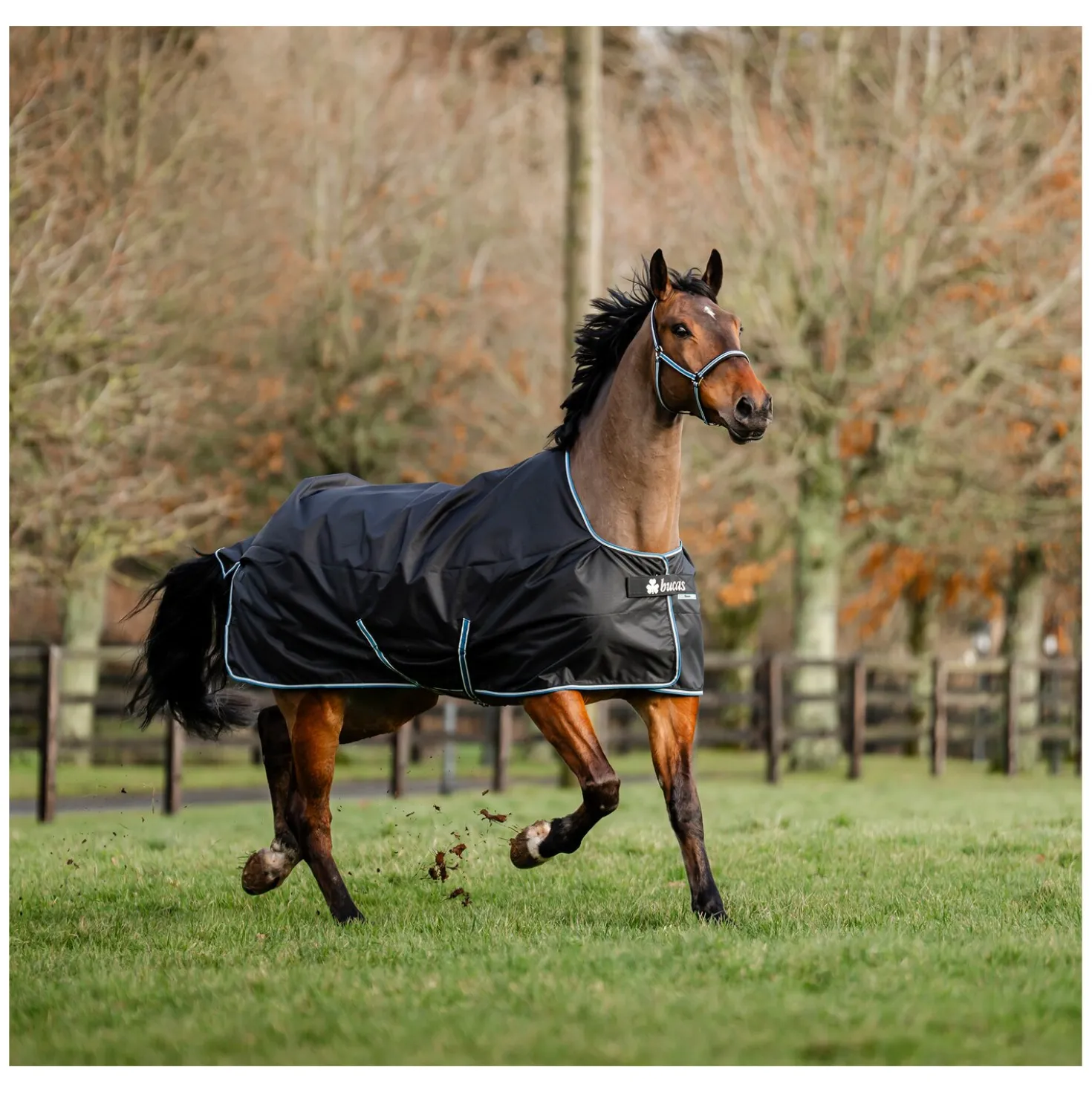 bucas Outdoordecke Anniversary Black Turnout Light