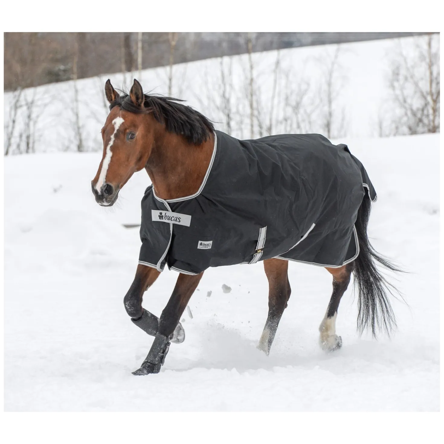 bucas Outdoordecke Anniversary Black Turnout Light