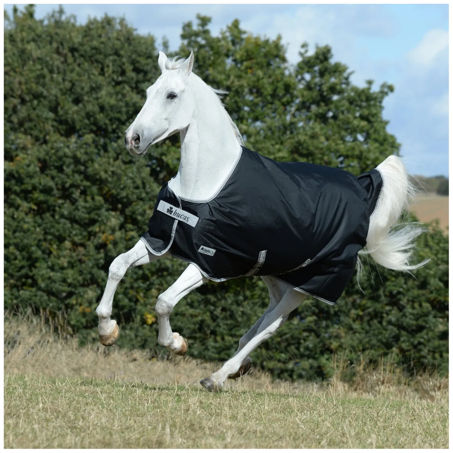 bucas Outdoordecke Anniversary Black Turnout Light