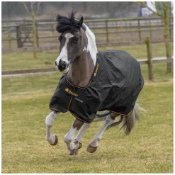bucas Outdoordecke Irish Turnout light
