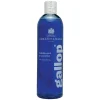 CARR & DAY & MARTIN Farbglanz Shampoo für Schimmel