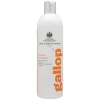 CARR & DAY & MARTIN Pflege-Shampoo