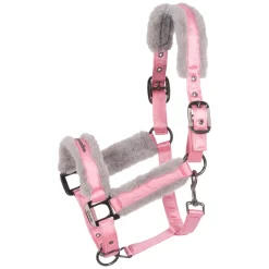 Cavallo Halfter CAVALJERO