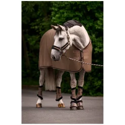 Cavallo Halfter CAVALJERO