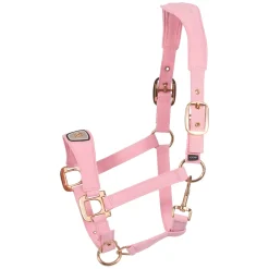 Cavallo Halfter CAVALPAWEL