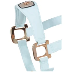 Cavallo Halfter CAVALPAWEL