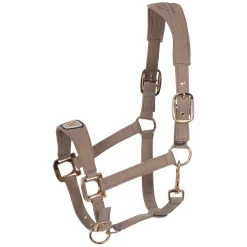 Cavallo Halfter CAVALPAWEL