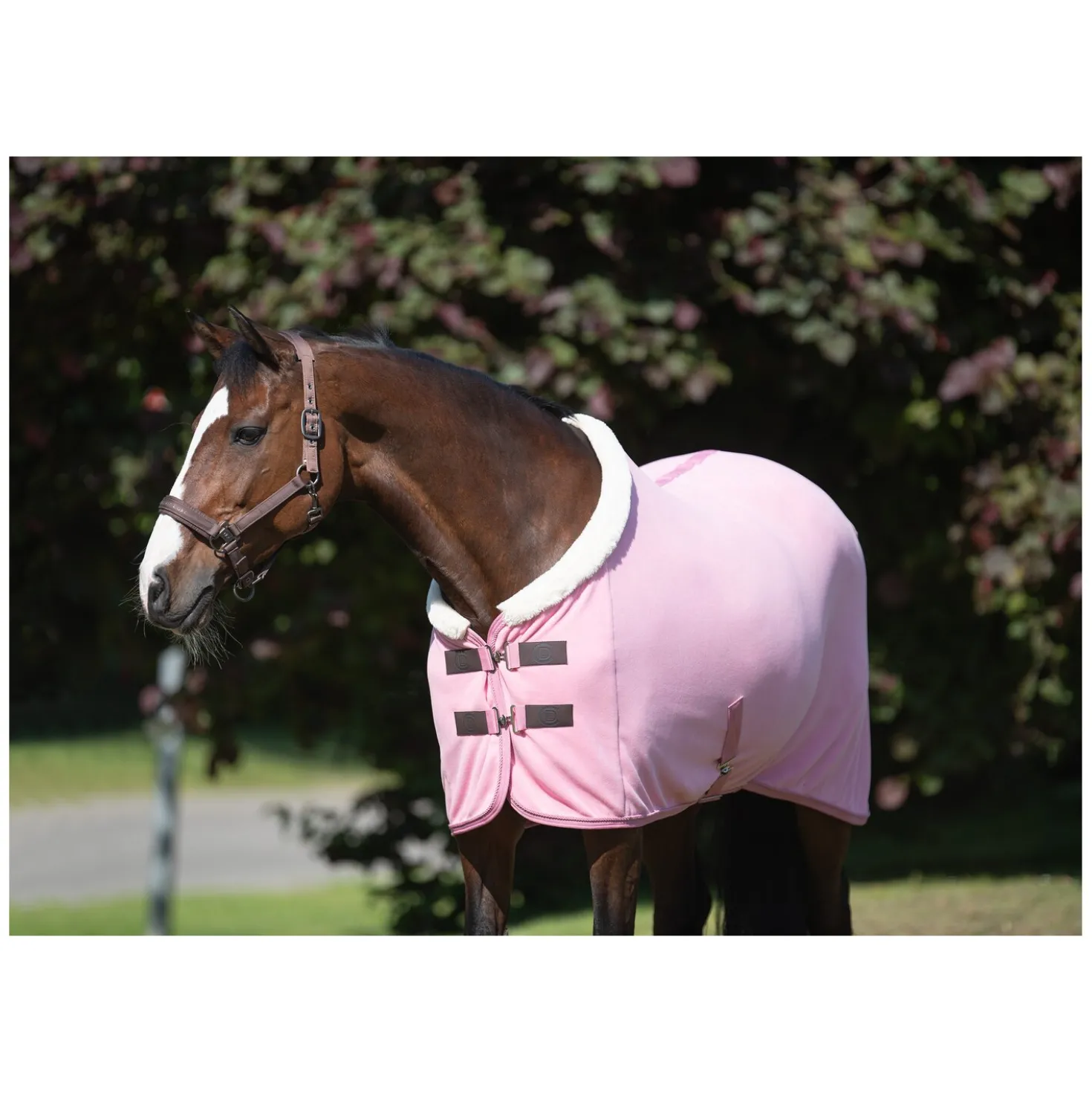 Cheval de Luxe Abschwitzdecke La Rochelle