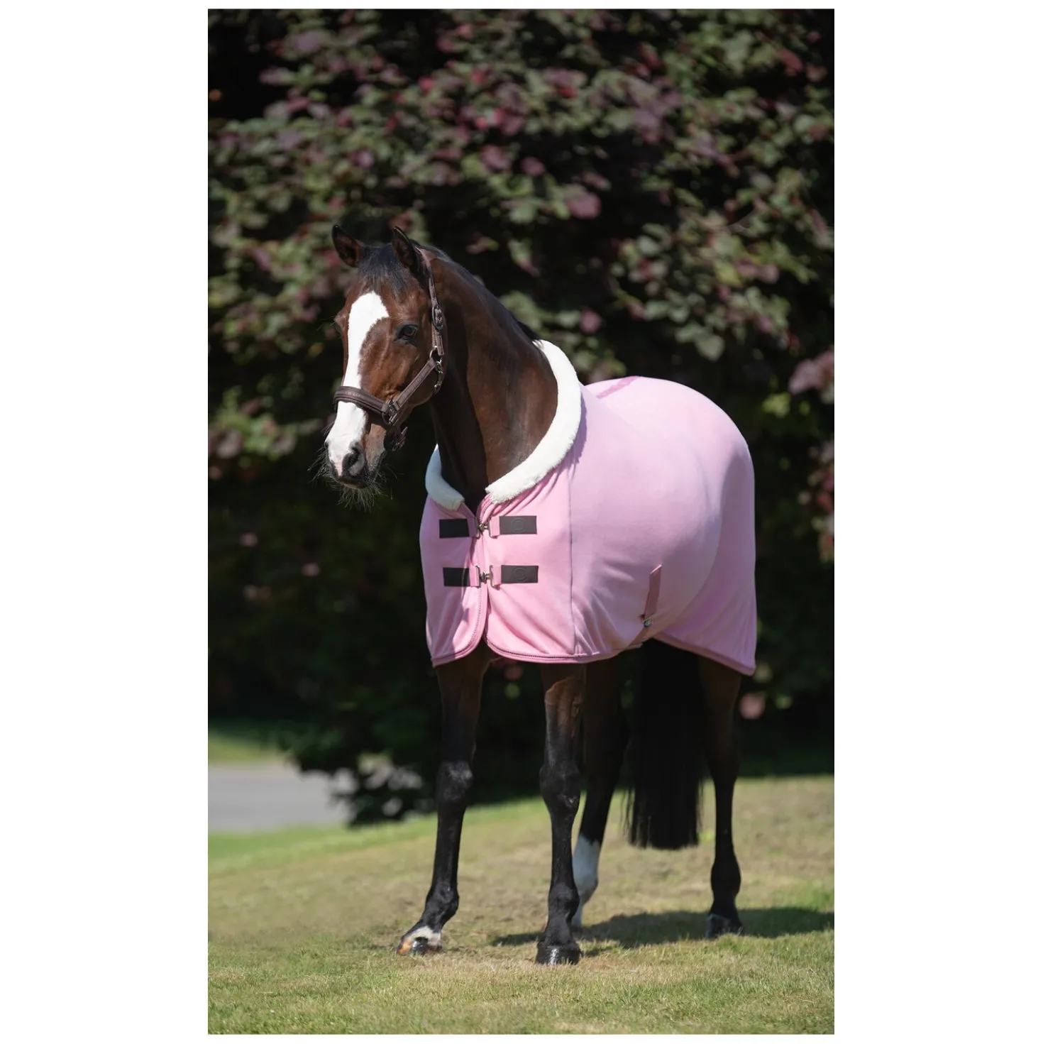 Cheval de Luxe Abschwitzdecke La Rochelle