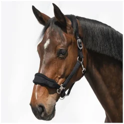 Cheval de Luxe Halfter Bayonne