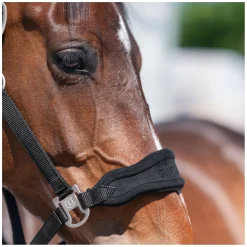 Cheval de Luxe Halfter Bayonne