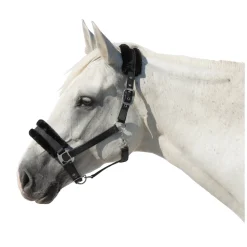 Cheval de Luxe Halfter Manila
