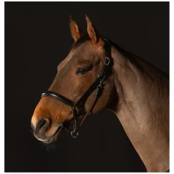 Cheval de Luxe Lederhalfter Annecy