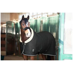 Cheval de Luxe Stalldecke Nantes