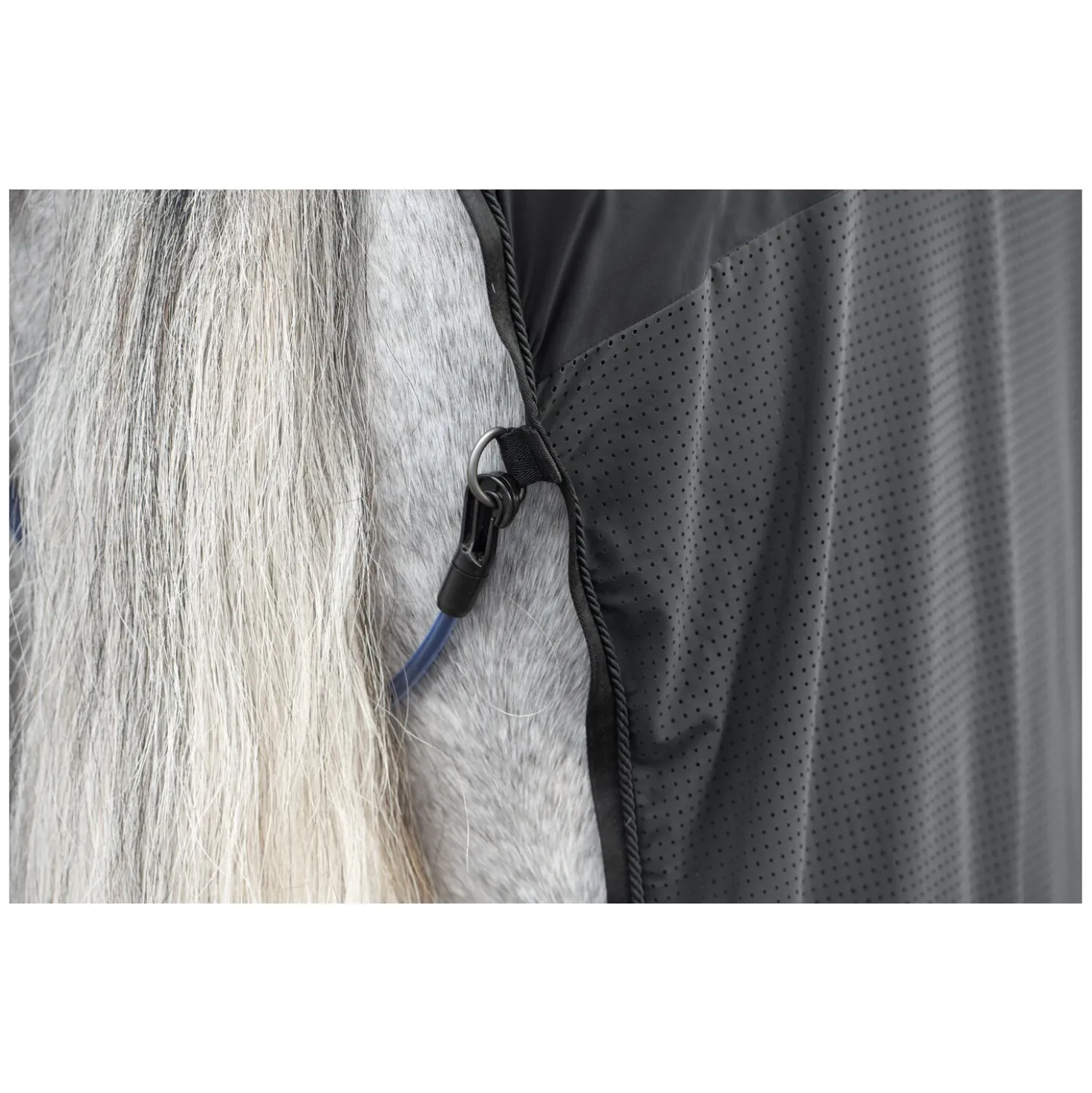 Cheval de Luxe Transportdecke