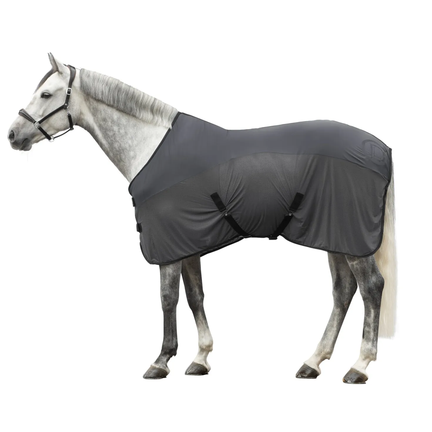 Cheval de Luxe Transportdecke