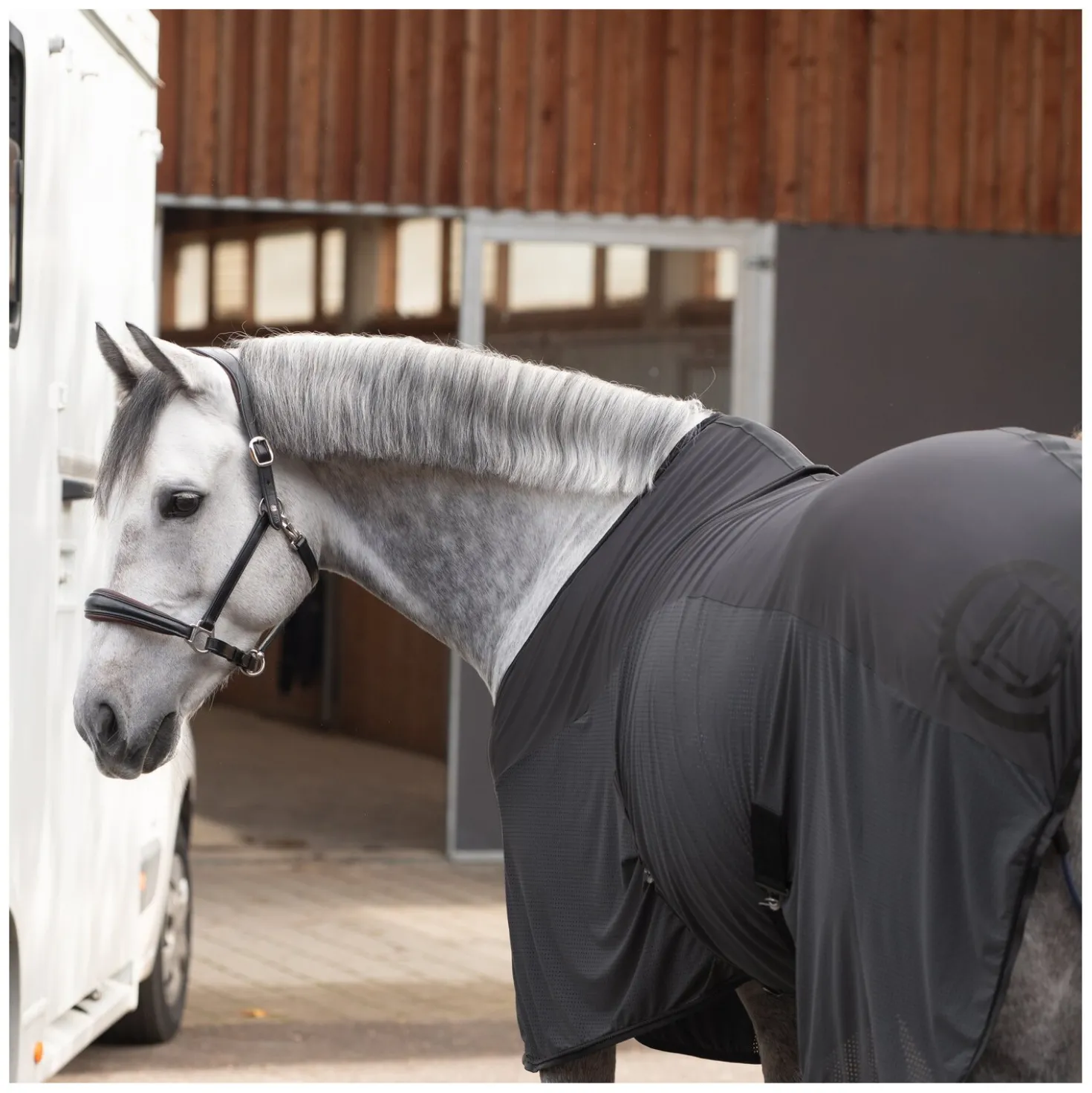Cheval de Luxe Transportdecke