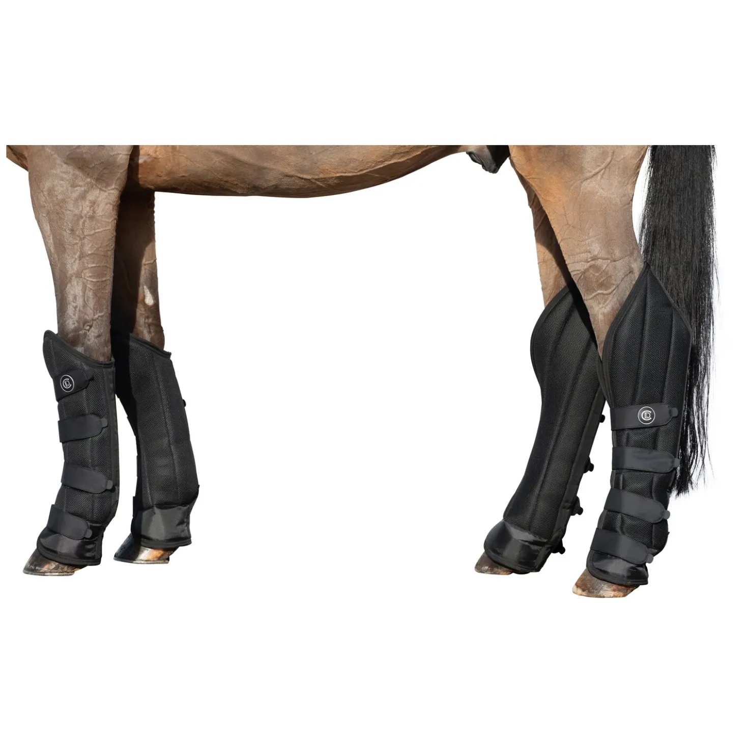 Cheval de Luxe Transportgamaschen