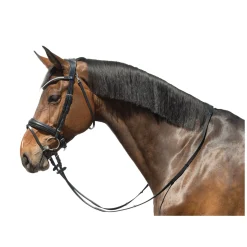 Cheval de Luxe Trensenzaum Catania
