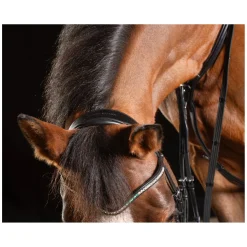 Cheval de Luxe Trensenzaum Dijon