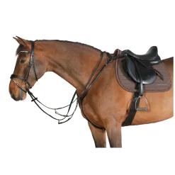 Cheval de Luxe Trensenzaum Dijon