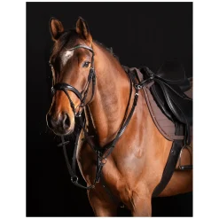 Cheval de Luxe Trensenzaum Dijon