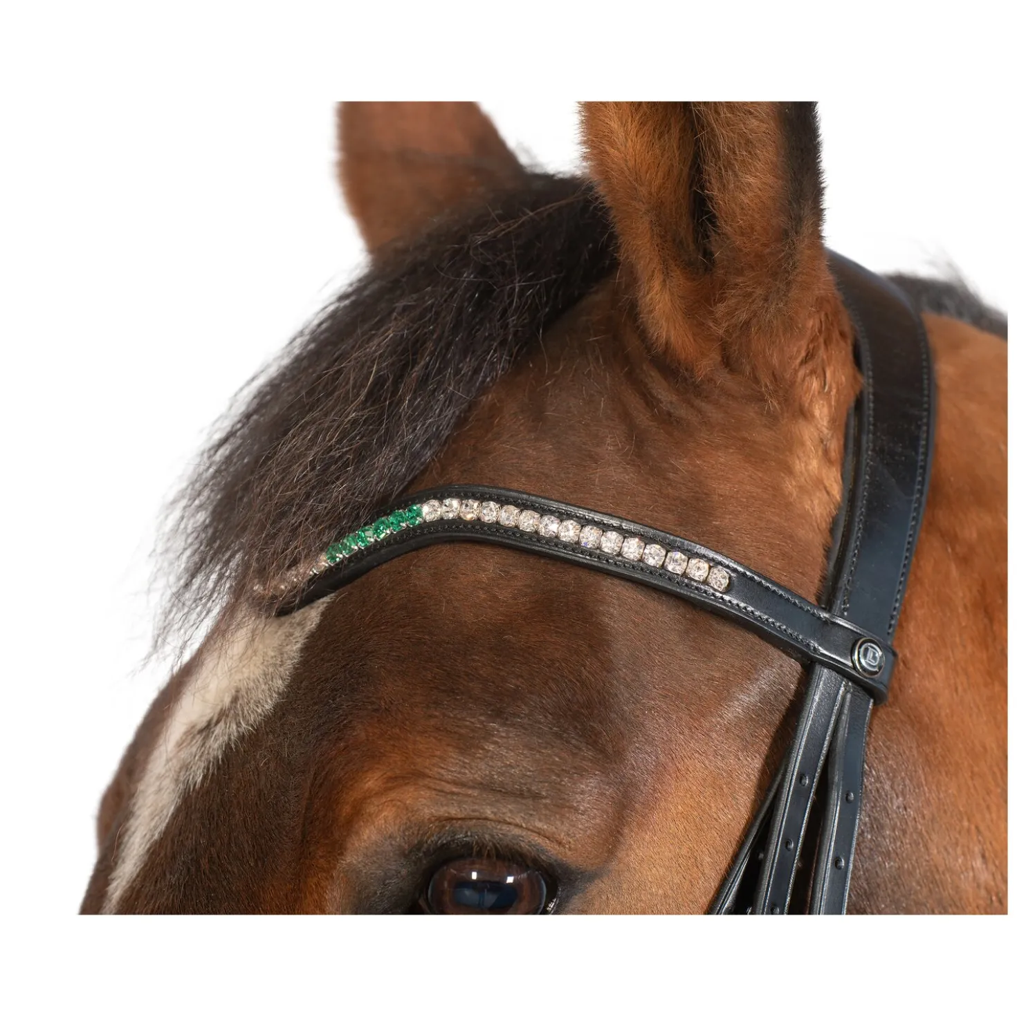 Cheval de Luxe Trensenzaum Dijon
