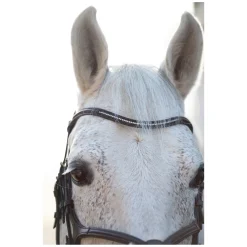 Cheval de Luxe Trensenzaum Miami