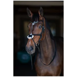 Cheval de Luxe Trensenzaum Miami