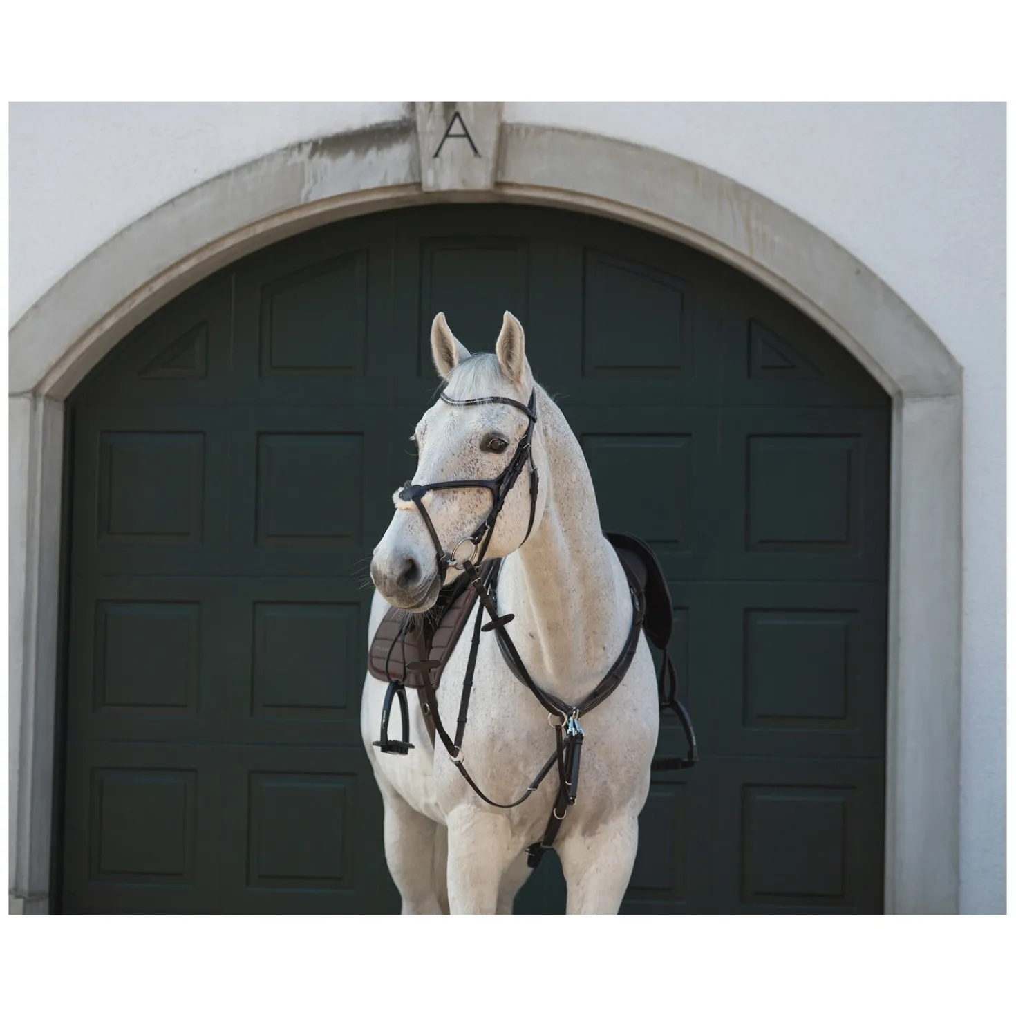 Cheval de Luxe Trensenzaum Miami