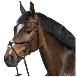 Cheval de Luxe Trensenzaum Miami