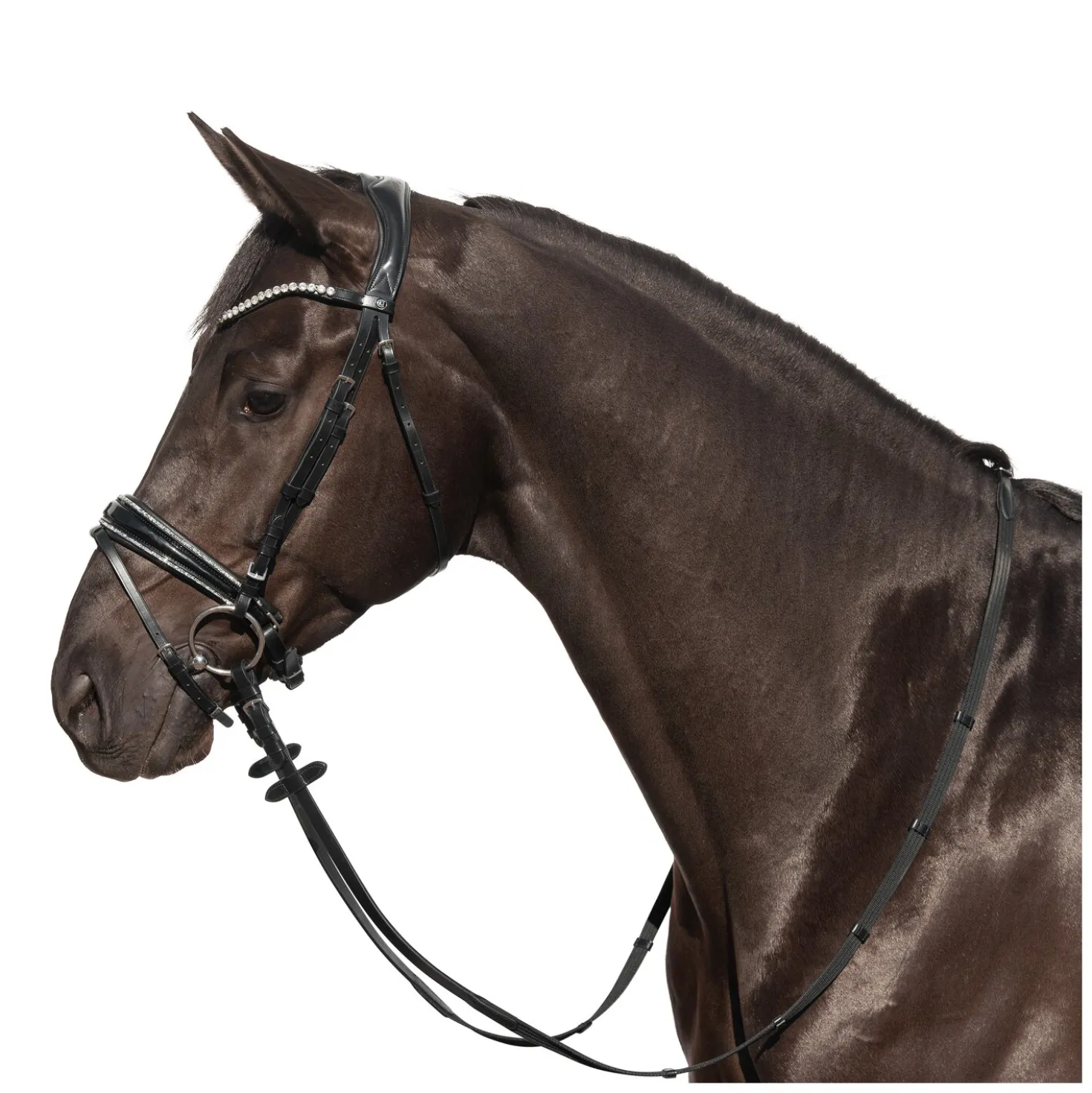 Cheval de Luxe Trensenzaum San Francisco
