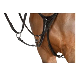 Cheval de Luxe Vorderzeug Dijon