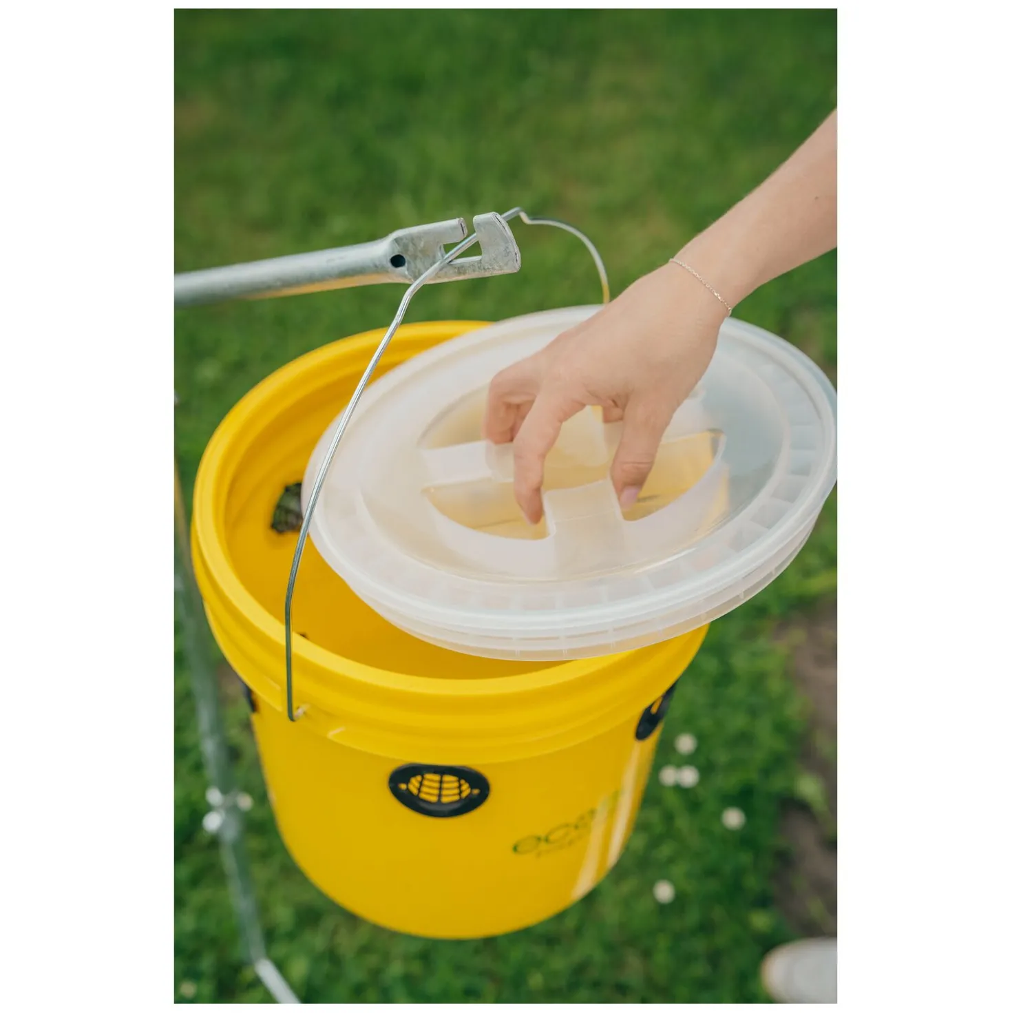 ecoBUSTERS Fliegenfalle Weide Professional + Lockstoff