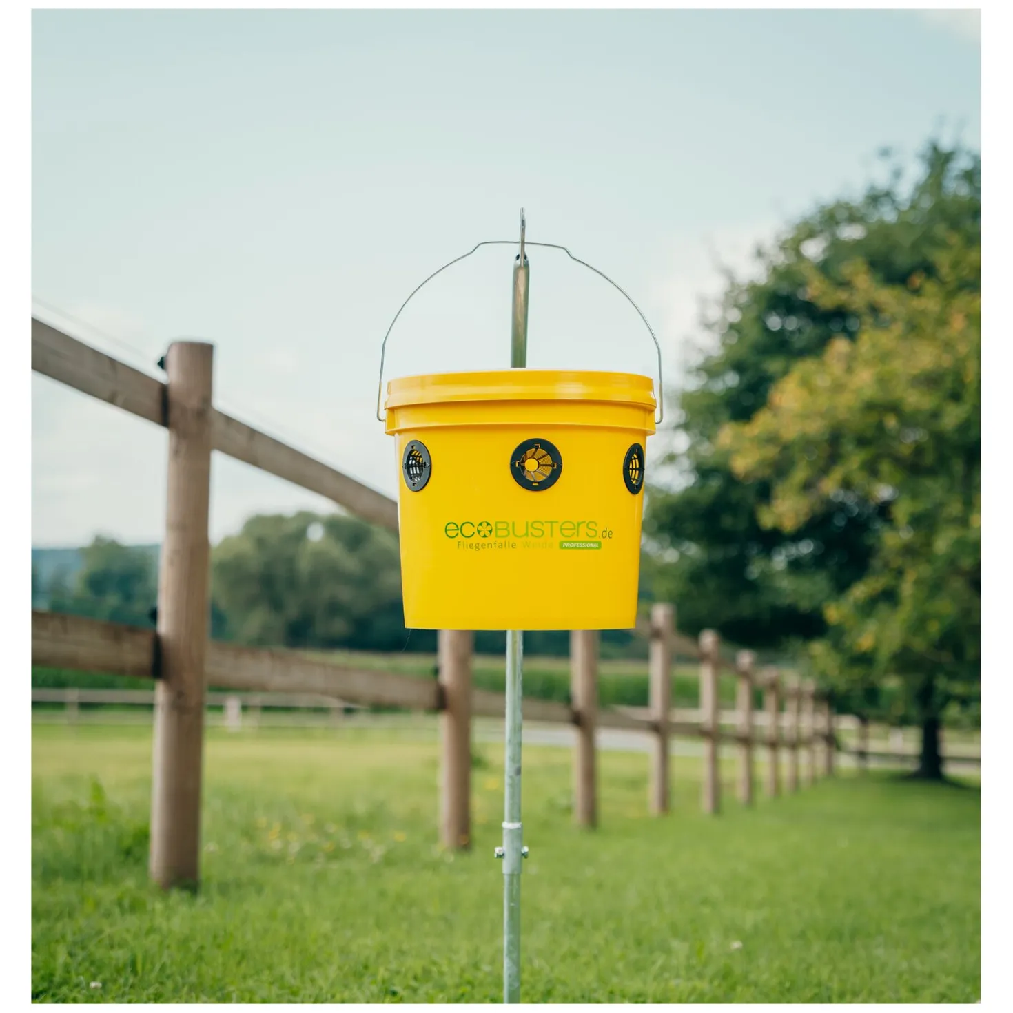 ecoBUSTERS Fliegenfalle Weide Professional + Lockstoff