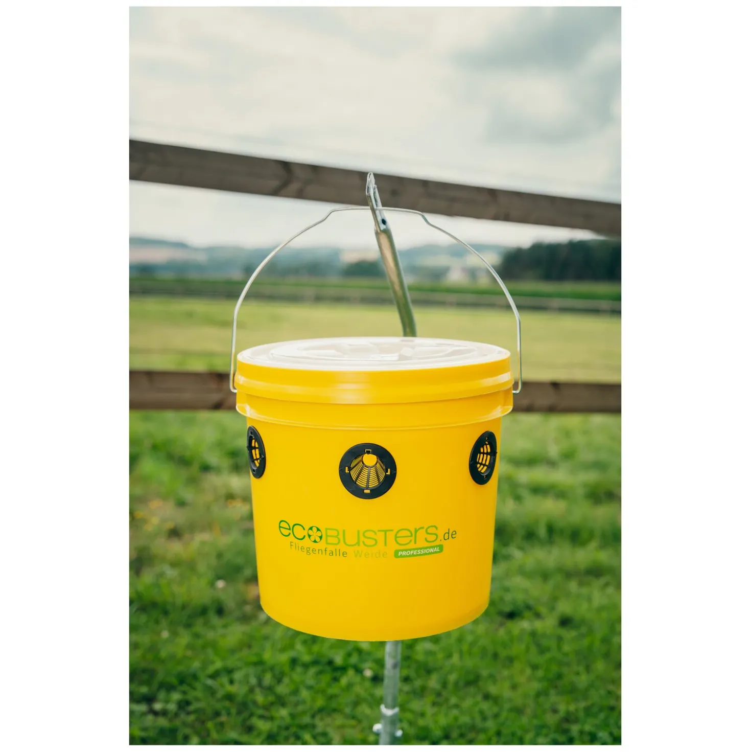 ecoBUSTERS Fliegenfalle Weide Professional + Lockstoff