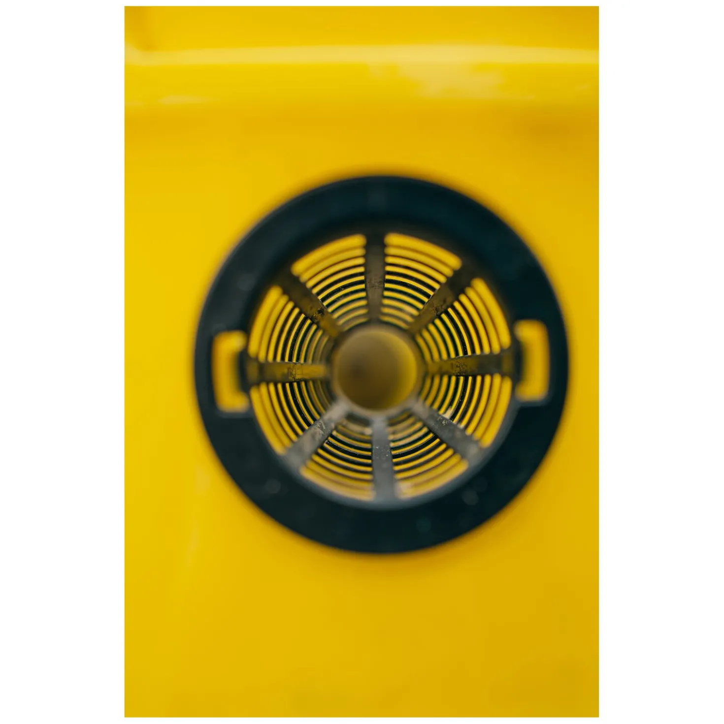 ecoBUSTERS Fliegenfalle Weide Professional + Lockstoff