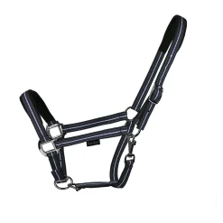 EQUEST Halfter Dual Plus